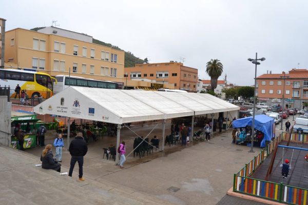 Märkte Gran Canaria – Bild 11