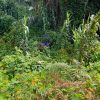 Wandertouren – Bild 4