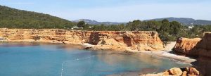 100 % Ibiza VIP