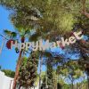 100% Ibiza VIP – Bild 2