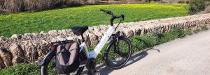 E-Bike Tour: Santa Gertrudis entdecken