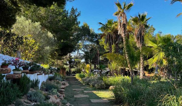 BiBo Park – 2. kép