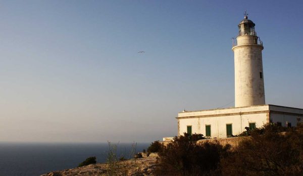 Ônibus de Formentera – Foto 7