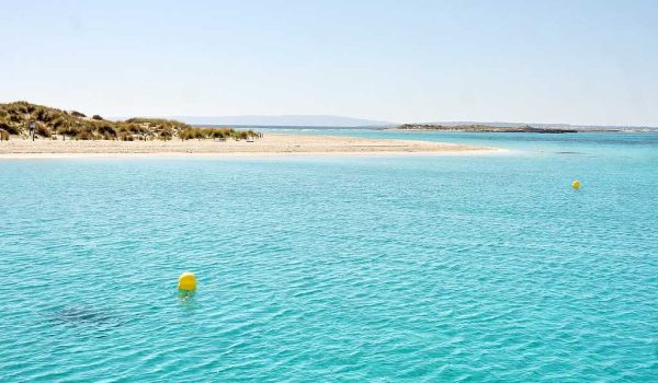 Estrela de Formentera (com/sem transferência) – Imagem 6