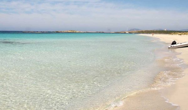 Pôr do Sol Estrelado em Formentera (com/sem transfer) – Imagem 6