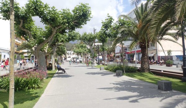 Passeio pela ilha e mercado hippie – Foto 8