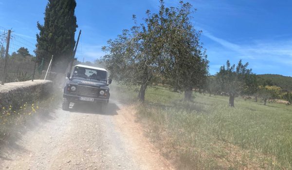Jeep Safari Classic – foto 7