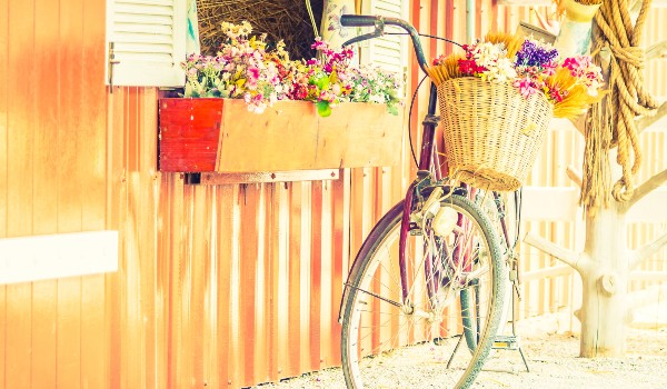 Hippie Vibes & Eden Nights – Bild 5
