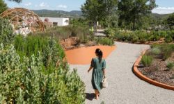 bibo_park_featured_neu_600x218
