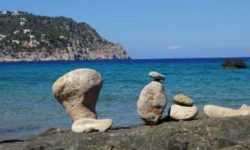 es_vedra_featured_600x216