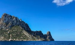 es_vedra_featured_600x216