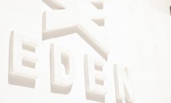 hippie_vibes_featured_600x216
