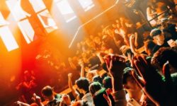 hippie_vibes_featured_neu_600x216