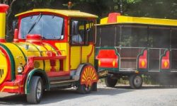 mini_train_featured_600x216