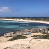 Formentera Bus – Bild 4