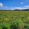 Salinas Bike Tour – Bild 2