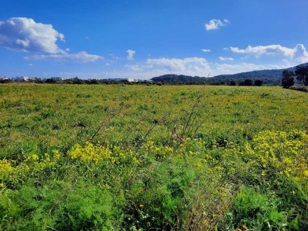 Salinas Bike Tour – Bild 2