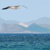Fährticket nach Formentera (mit/ohne Fahrrad/E-Bike) – Bild 2