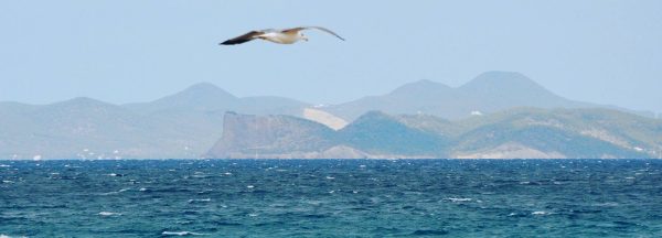 Fährticket nach Formentera – Bild 2