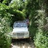 Jeep Safari – Bild 4