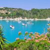 Paxos-Antipaxos – Bild 7
