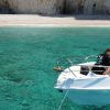 Sea Safari mit dem Speedboot – Bild 5