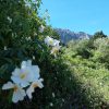 Drei-Insel-Bootstour – Bild 6