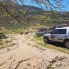 Safaritour - Kefalos – Bild 2