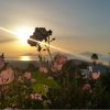 Safaritour - Premium Sunset – Bild 3