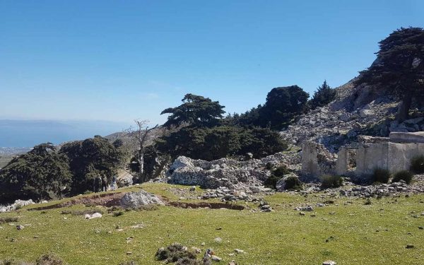 Safaritour – Bild 2