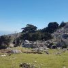 Safaritour – Bild 5