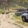 Safaritour