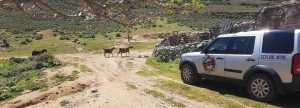Safaritour Kos