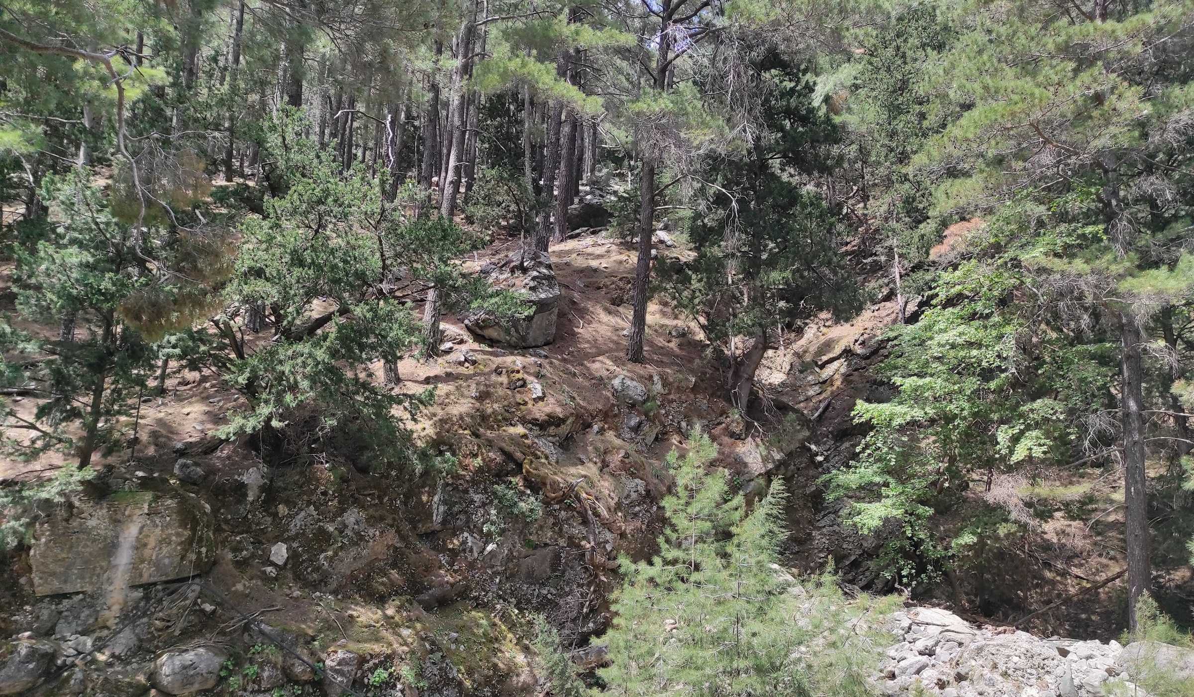 Samaria-Schlucht – Bild 4