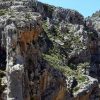 Kreta pur – Bild 2