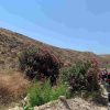 Quad Safari – Bild 4