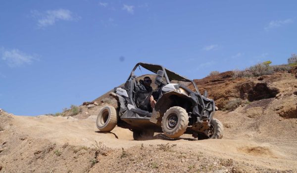 Buggy Mixto – Bild 2
