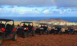 buggy_mixto_featured_600x216