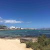 Fuerteventura und Dünen – Bild 3