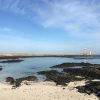Fuerteventura und Dünen – Bild 2