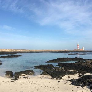 Fuerteventura und Dünen