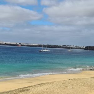 I love Papagayo