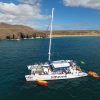 I love Papagayo – Bild 2
