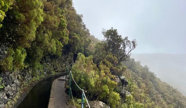 Wanderung Levada do Alecrim und Wind Lagune – Bild 2