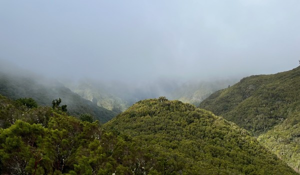 Wanderung Levada do Alecrim und Wind Lagune – Bild 3