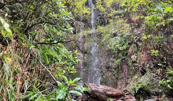 Wanderung Levada do Alecrim und Wind Lagune – Bild 4