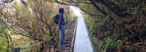 Wanderung Levada do Alecrim und Wind Lagune