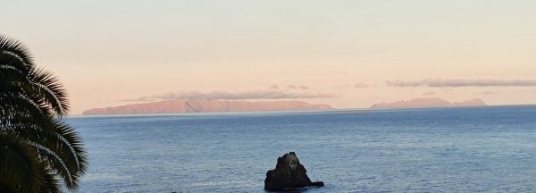Ilhas Desertas cu Bonita da Madeira