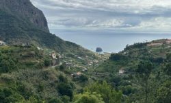 levada_e_mercado_do_santo_featured_600x216