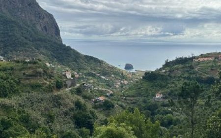 levada_e_mercado_do_santo_featured_600x216